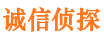 芮城侦探公司